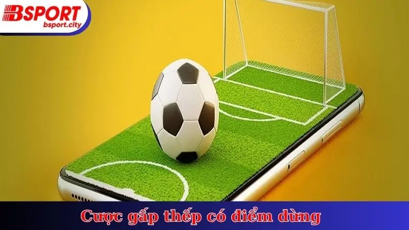 Cược gấp thếp có điểm dừng