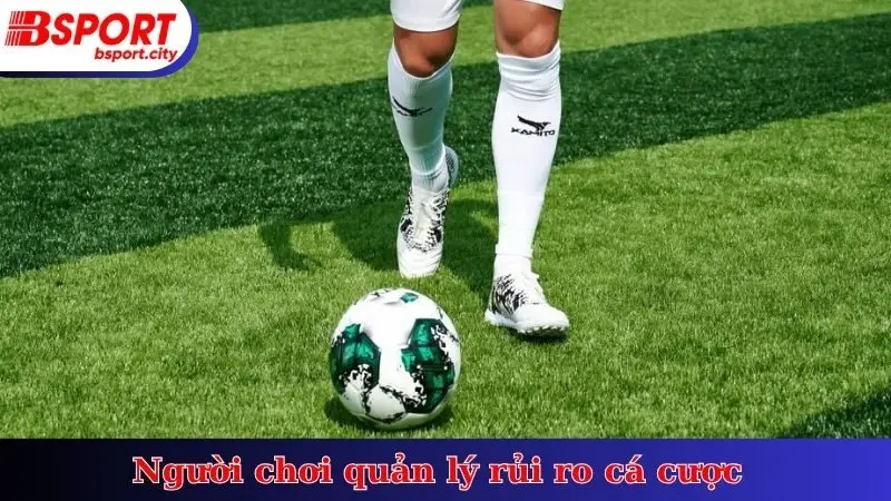 Người chơi quản lý rủi ro cá cược